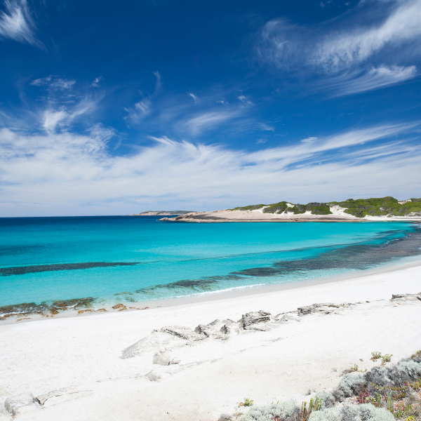Team Bonding Activities Western Australia