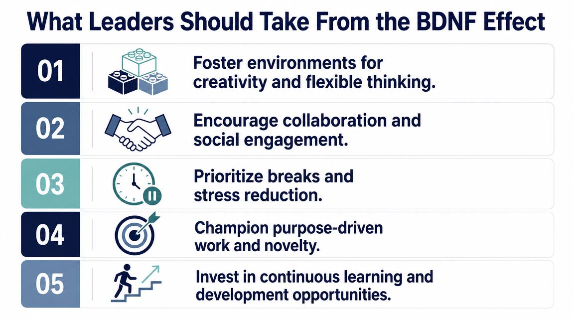 A list of five essential strategies for leaders to implement based on the BDNF effect concept.