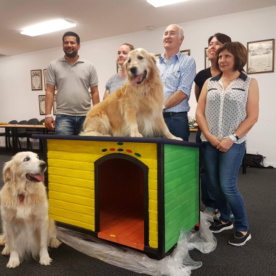 dog a home