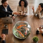 The Fish Philosophy: A Guide for Workplace Culture